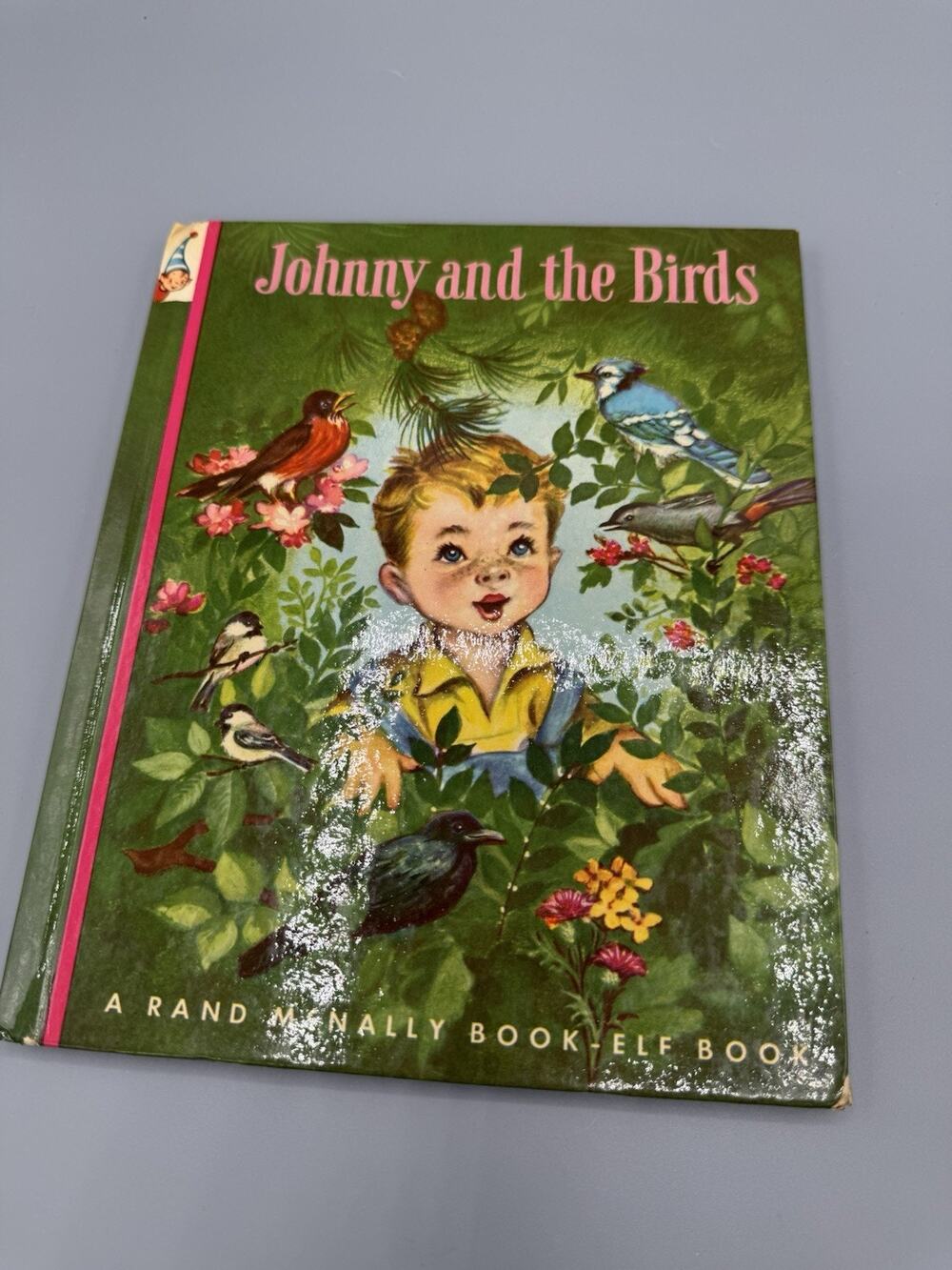 Johnny and the Birds Ian Munn Elizabeth Webbe 1950 Rand McNally Book Elf